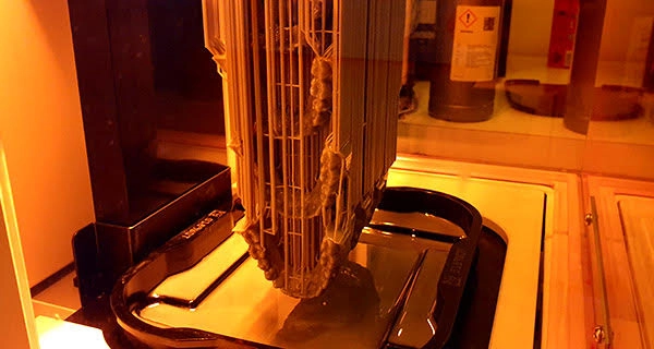 Ortho model Print